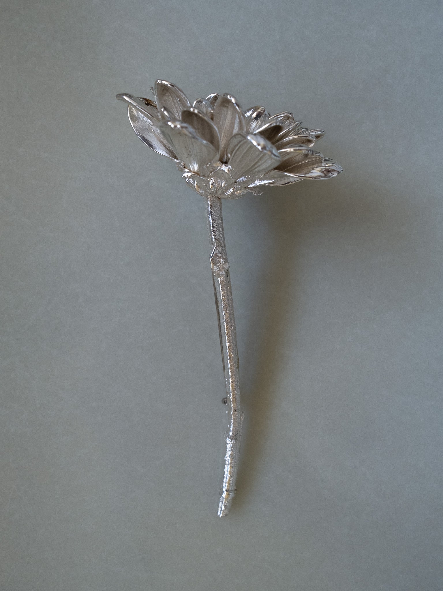 Germini silver brooch